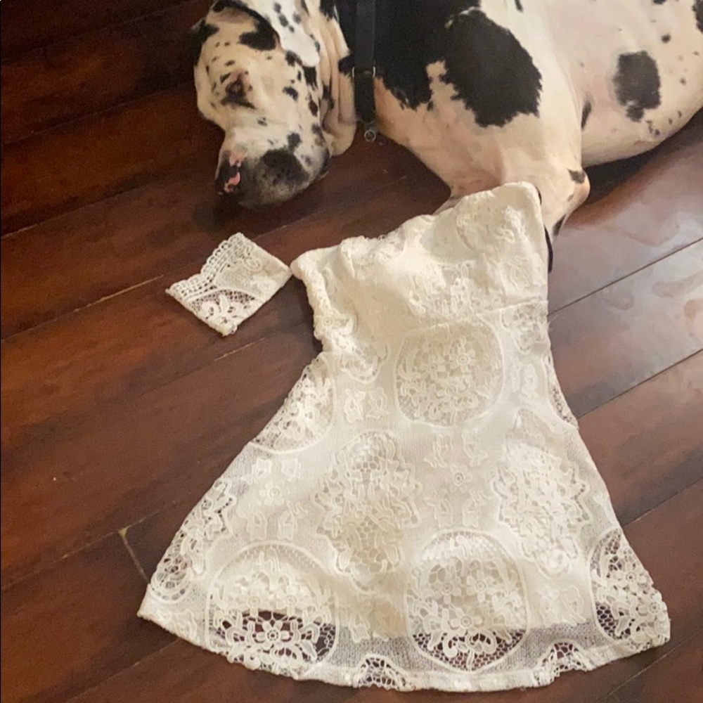 Lace Dress